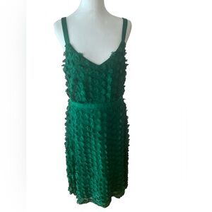 Eva Franco Appliqué Flowered Dress Size 10